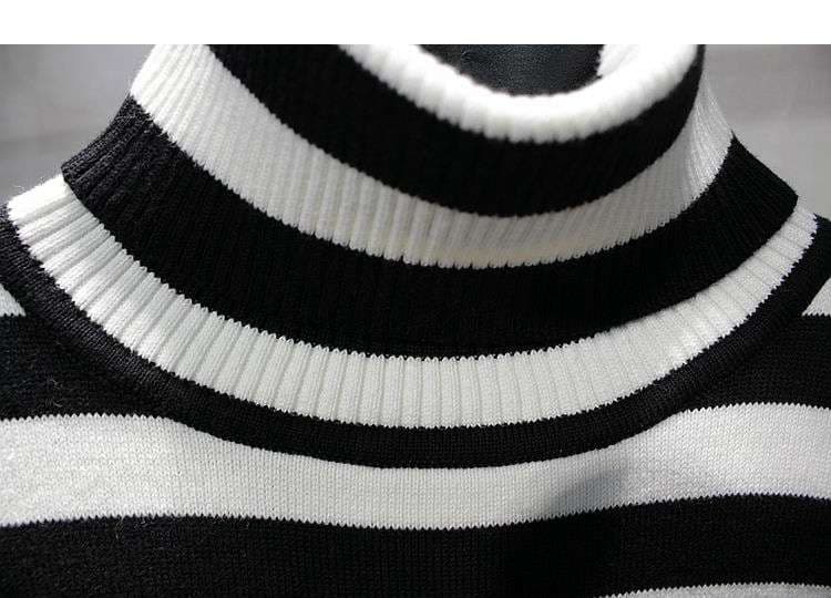 モノトーン太ボーダーのタートルネックセーター ボーダー服