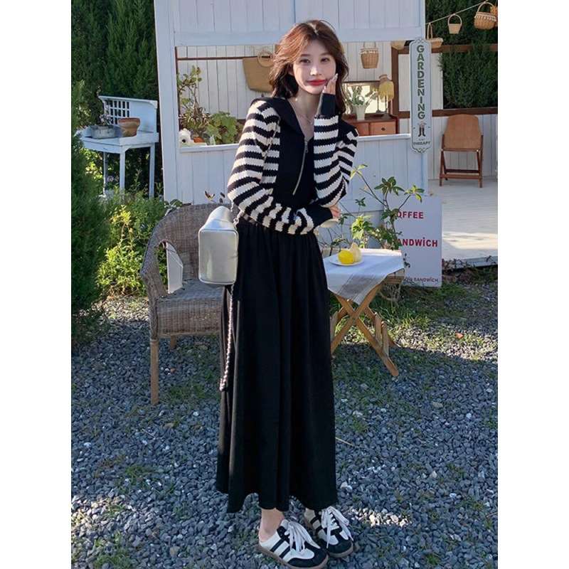 ボーダーニット長袖ジッパーワンピース ボーダー服